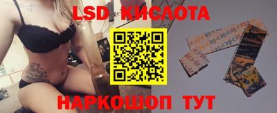 гидра Будённовск