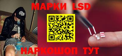 гидра Будённовск