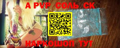 гидра Будённовск