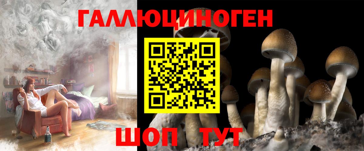 Галлюциногенные грибы Psilocybine cubensis  Вход с VPN  продажа наркотиков  Галлюциногенные грибы ЛСД  Строитель 